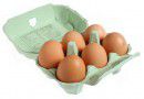 Six eggs in green carton