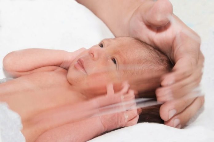 Newborn baby inside incubator