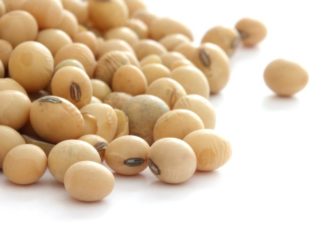 Many beige beans sprawled across a white surface.