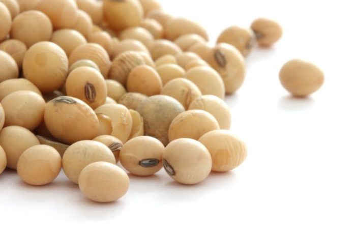 Many beige beans sprawled across a white surface.