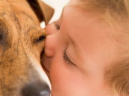 Baby kissing dog on the face.