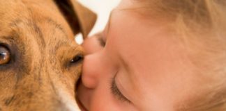 Baby kissing dog on the face.