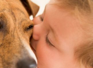 Baby kissing dog on the face.