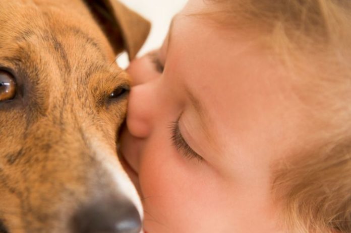 Baby kissing dog on the face.