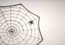 Spiderweb with little spider