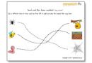 insects-home-worksheet