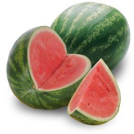 Watermelon animals